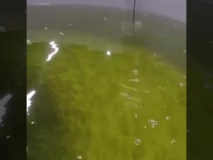 Capteur optique dissous optique en ligne de l'oxygène du capteur Rs485 d'oxygène